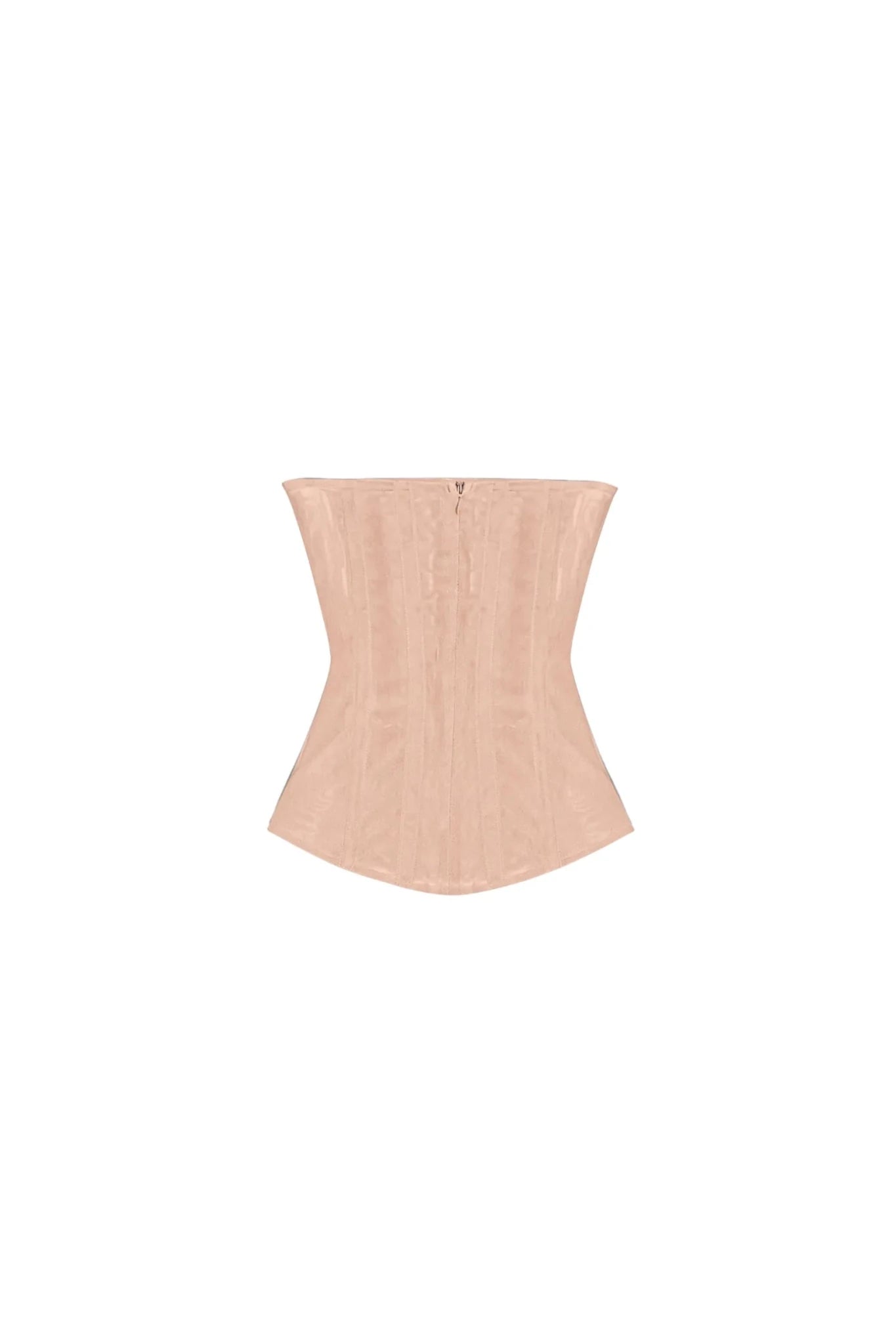 Samantha Sheer Sculpt Corset Top - Hearts & Wires Studio