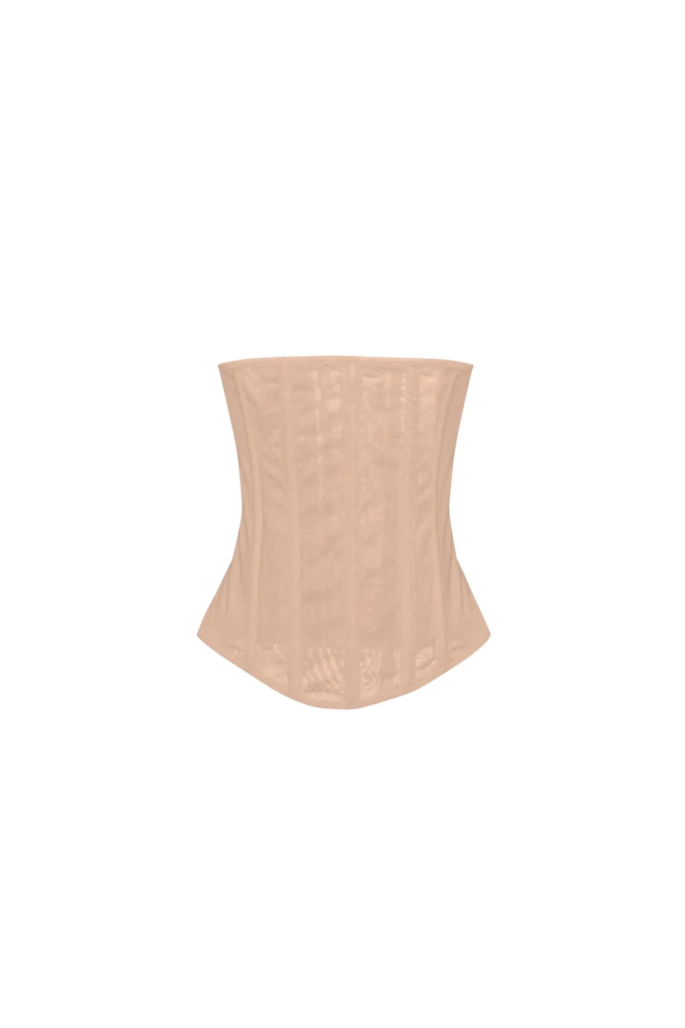 Samantha Sheer Sculpt Corset Top - Hearts & Wires Studio
